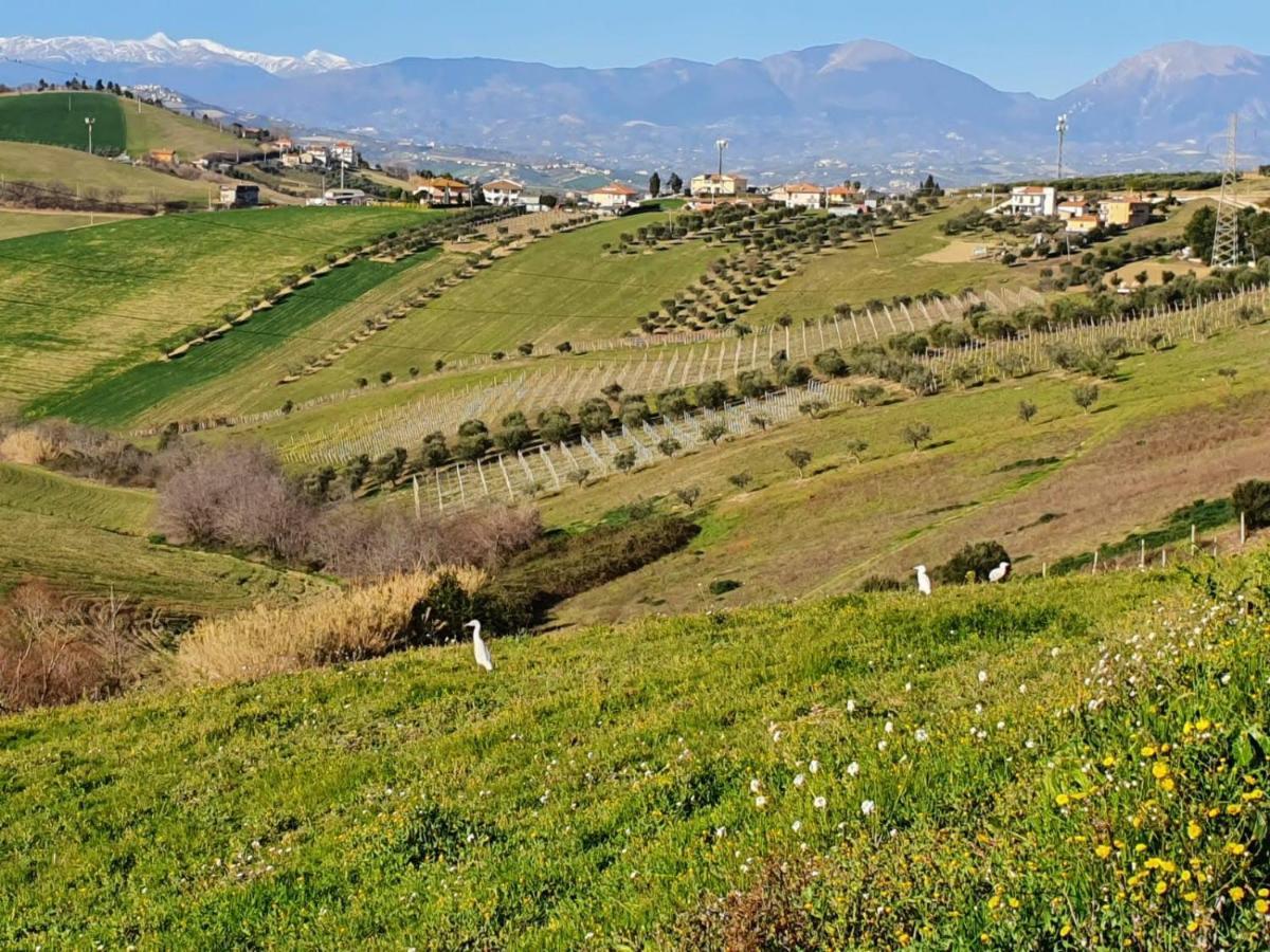 B&B Gli Amici Del Tubarello Розето-дельи-Абруцци Экстерьер фото