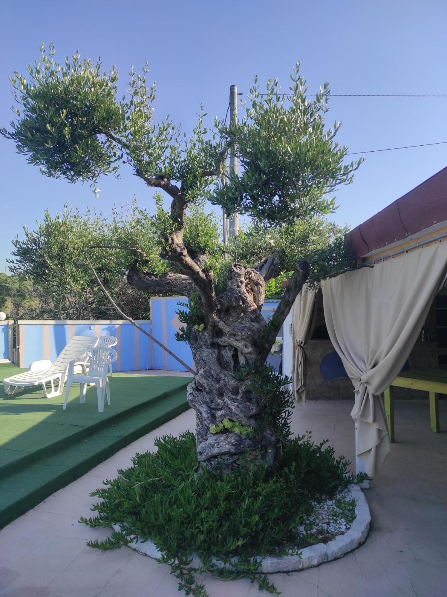B&B Gli Amici Del Tubarello Розето-дельи-Абруцци Экстерьер фото